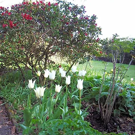 Bed and Breakfast Bank House Penrith